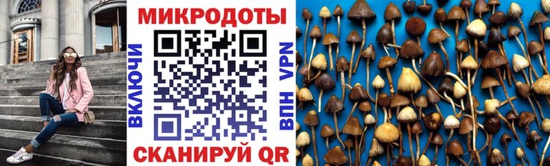 Галлюциногенные грибы Psilocybe Купить где Дрезна